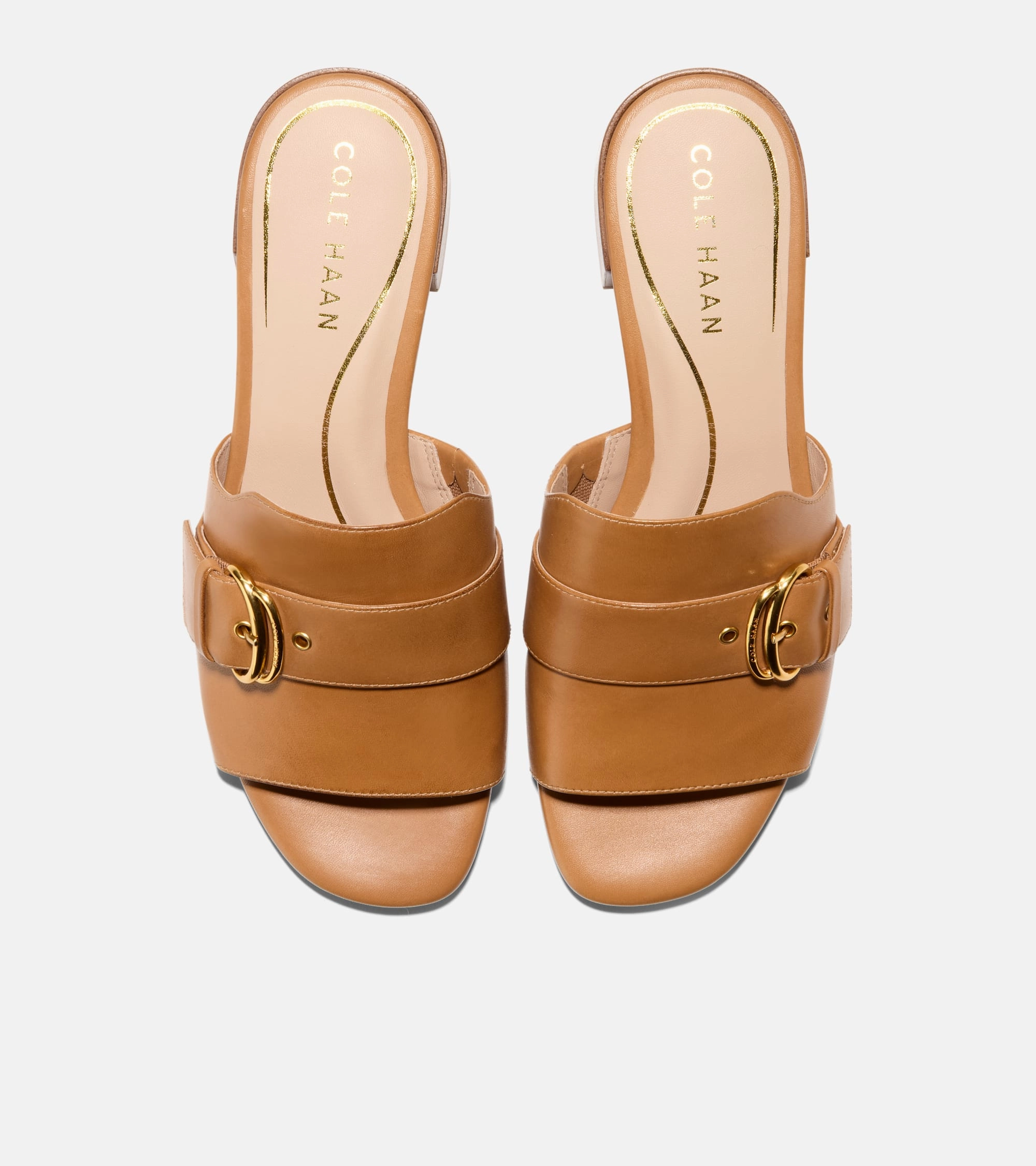 Platform Gladiator Sandals Cole Haan Women's Crosby Slide Sandals