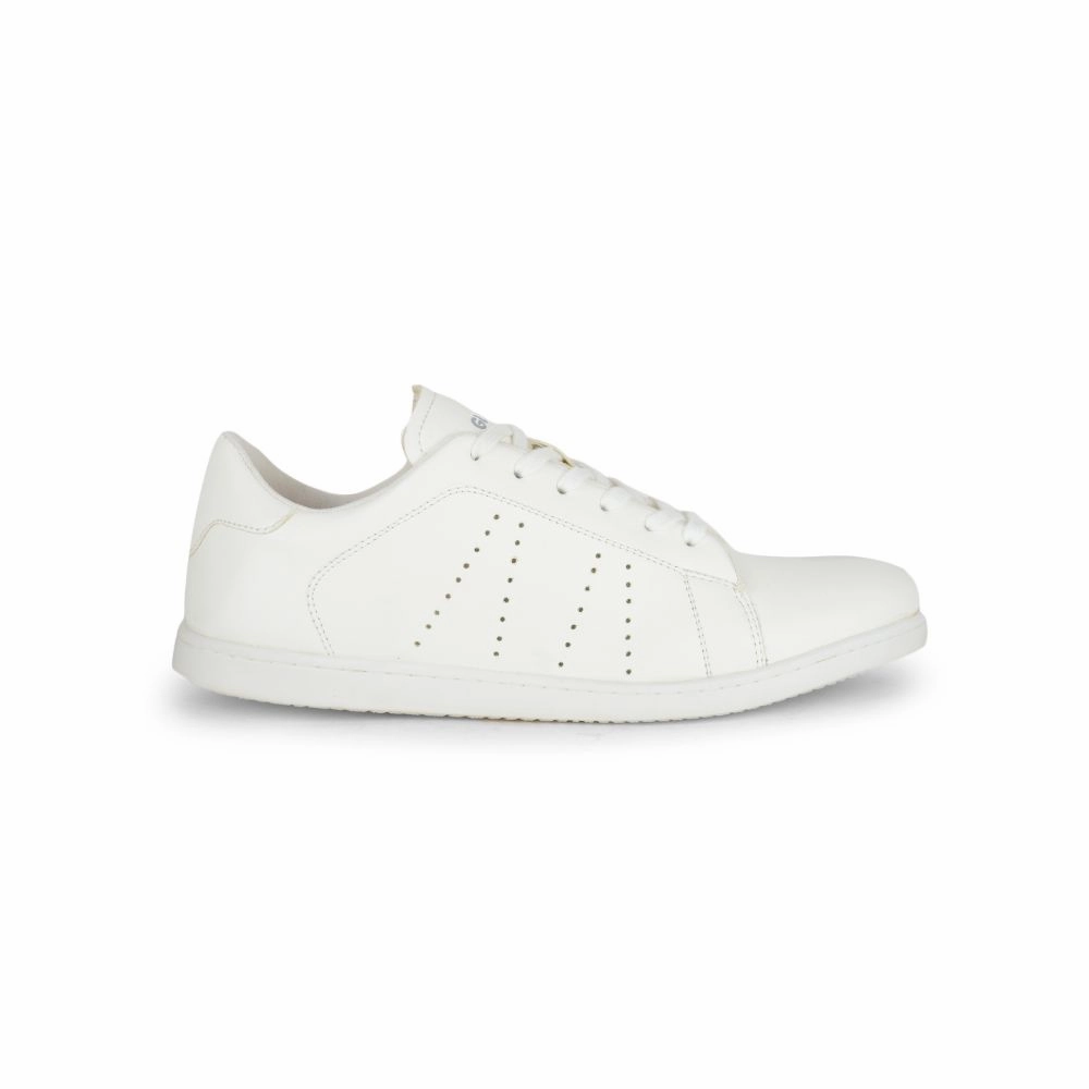Next Casual Shoes Gliders Casual White Lacing Sneakers For Men ANDERSON By Liberty