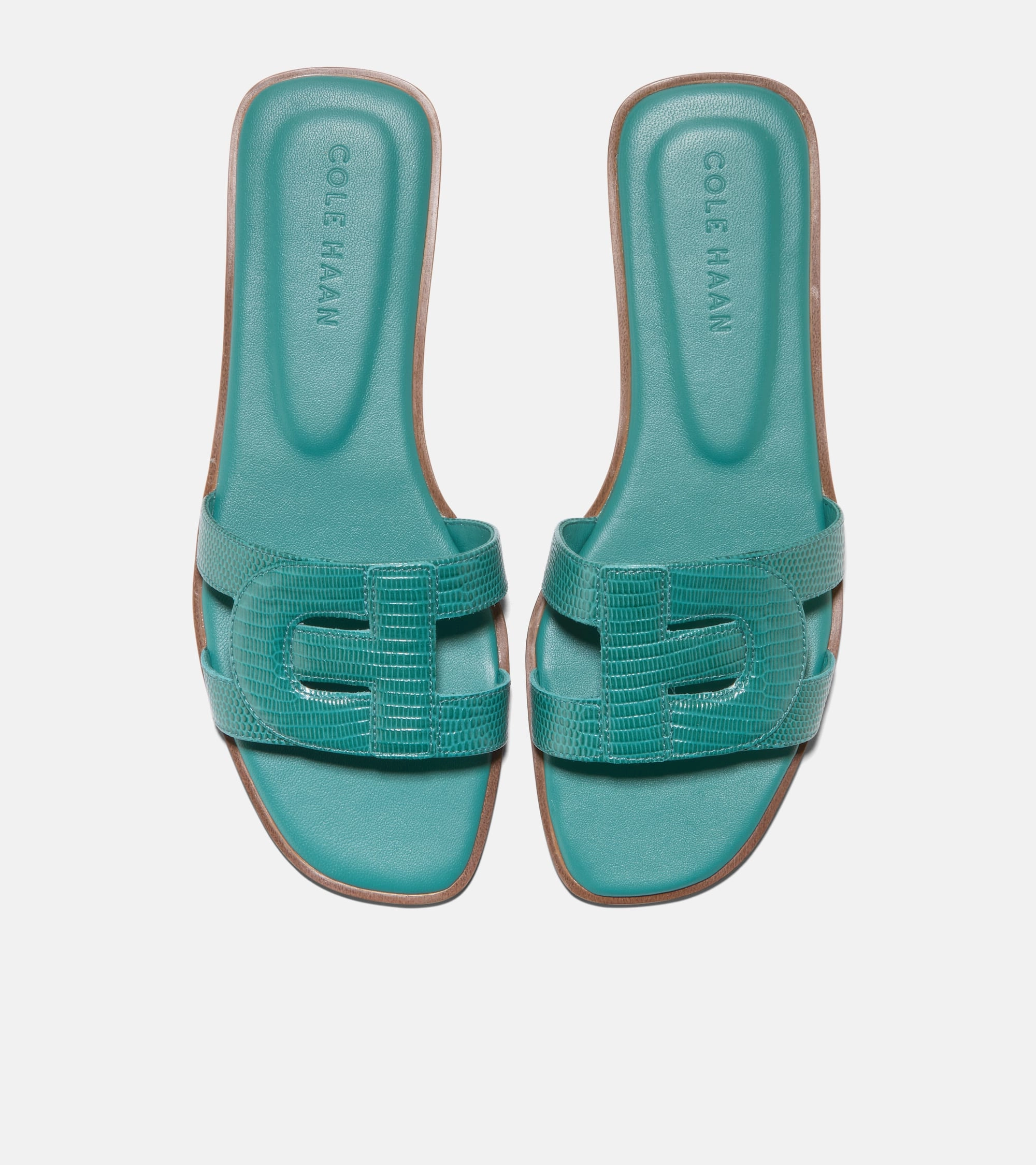 Teva Flatform Sandals Cole Haan Women's Chrisee Slide Sandals