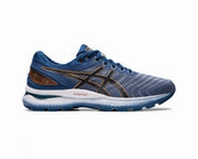 Asics Gel-tactic 12 Indoor Court Shoes Reviews Men's Asics Gel-Nimbus 22, Black/Grey Floss, 11 D Medium