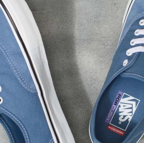 Skate 3 Shoes Vans Skate Authentic Shoes